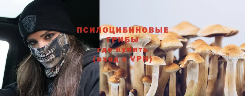 Галлюциногенные грибы Magic Shrooms Бодайбо